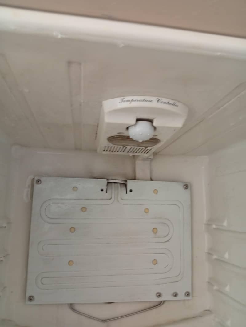 fridge 4