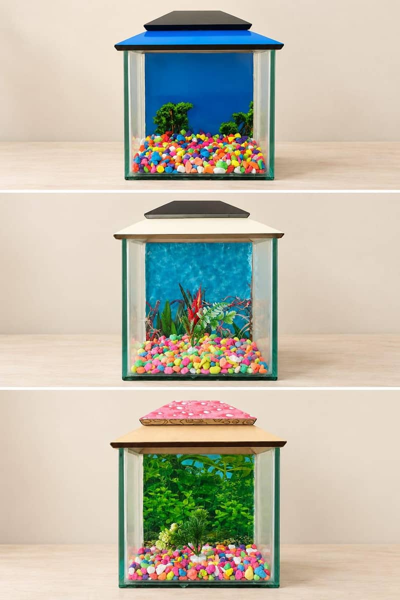 Small Fish Tank With Beautiful Gravel's and Plant - Aquariums - 1121014134