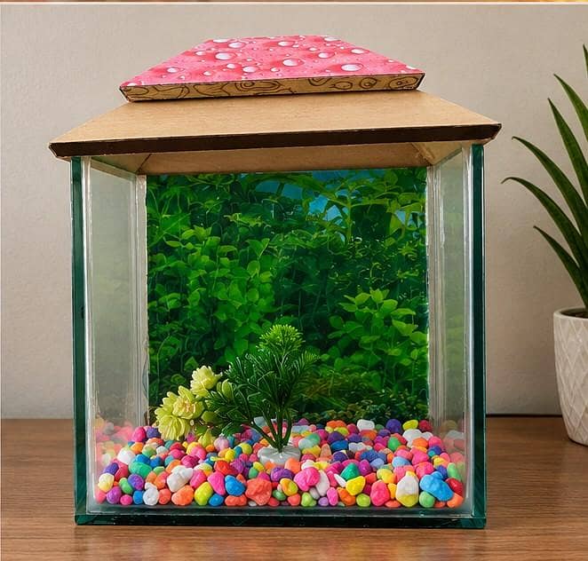 Small Fish Tank With Beautiful Gravel's and Plant - Aquariums - 1121014134