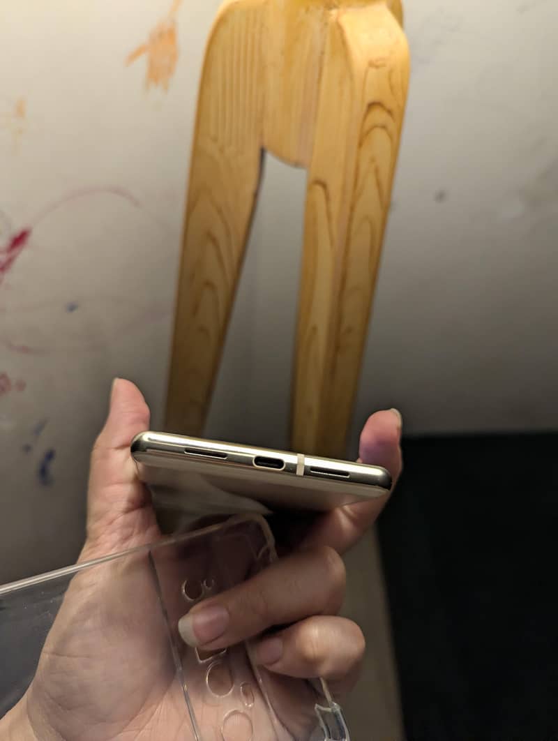Google Pixel 6 Pro 1