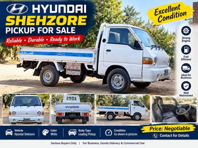 Hyundai Shehzore 2008