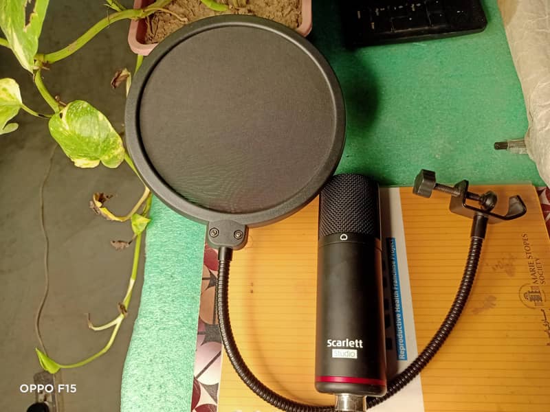 scarllets condenser mic 1