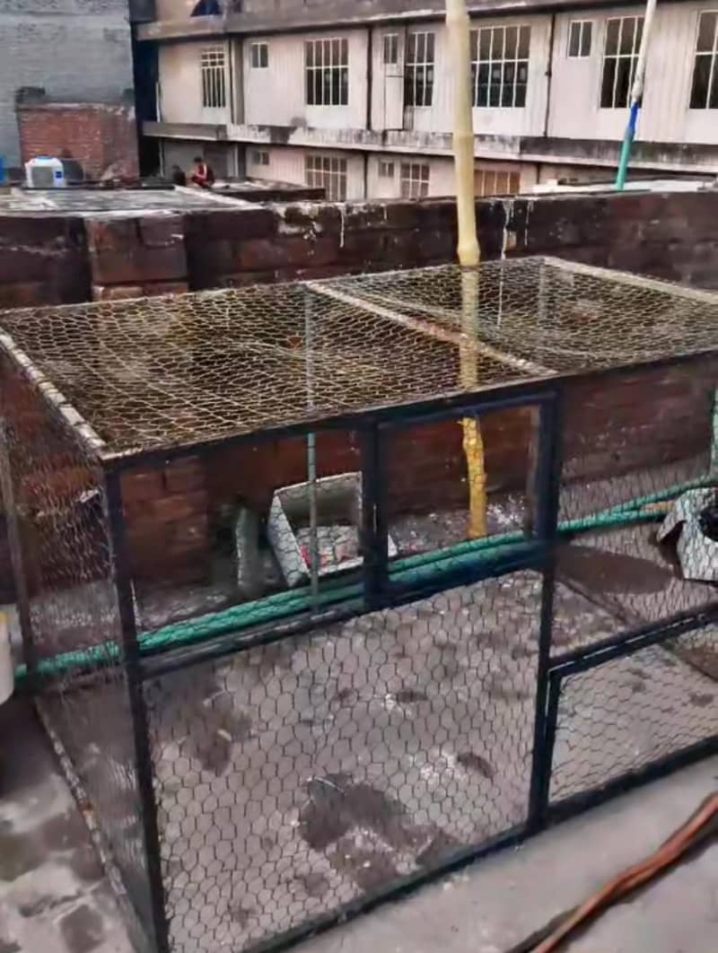 pet cage - Cages, Crates & Doors - 1121014723