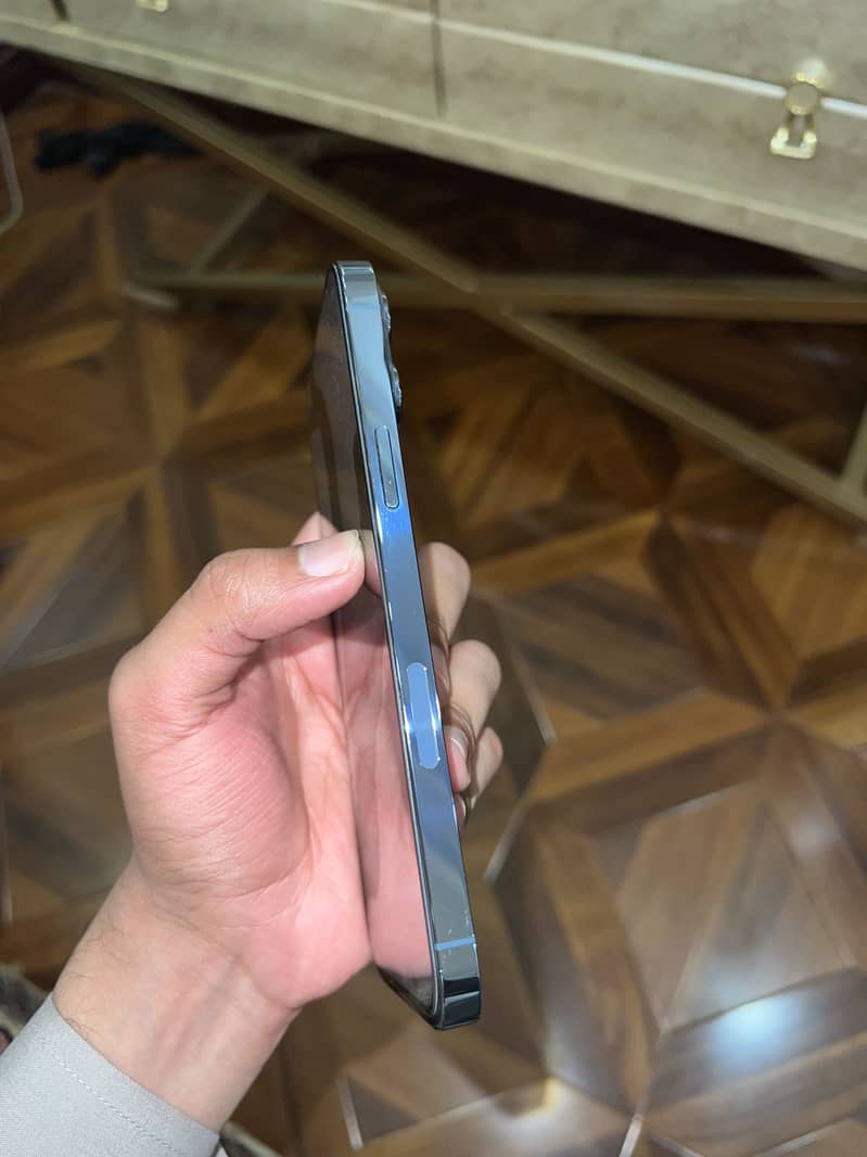 Apple iPhone 13 Pro Max 1