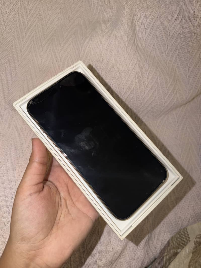 Apple iPhone 16 Pro Max 2