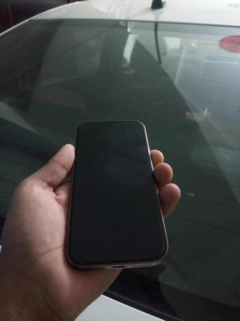 Apple iPhone 16 Pro 1