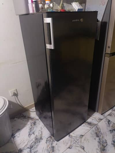 Pantron freezer for sale