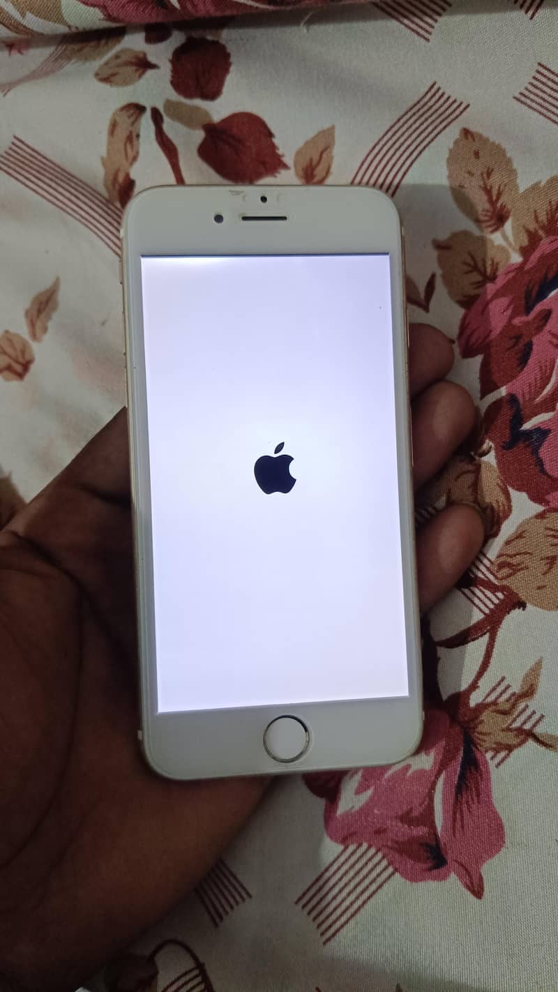 Apple iPhone 6S 0