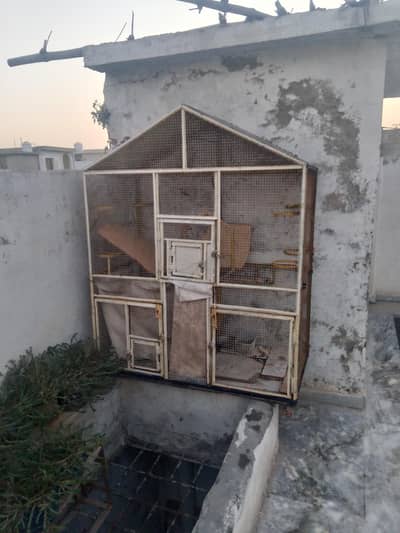 Cage(pinjra) for hens and parrots for sale in good condition