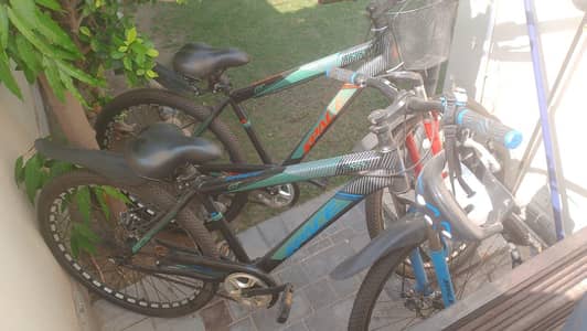 cycle  space