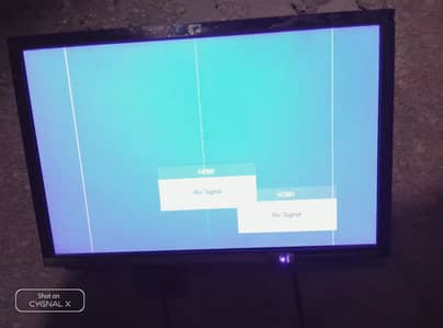 LCD 21 inch