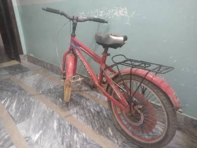 cycle kid