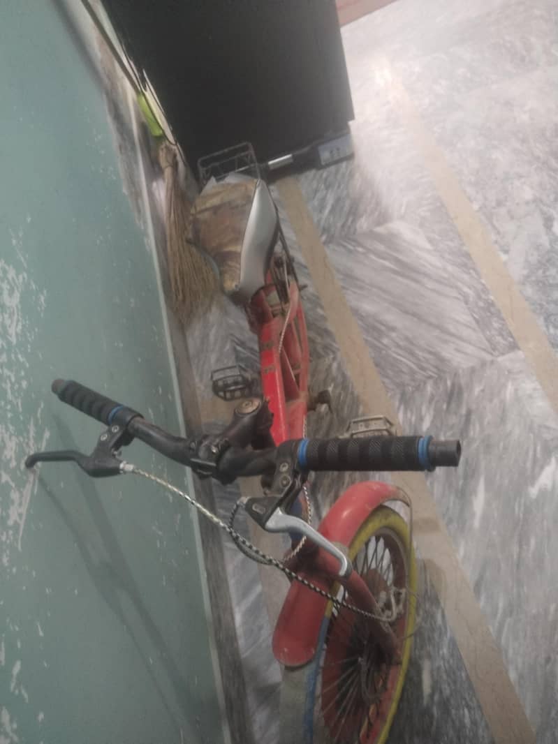 cycle kid 1
