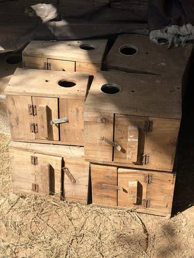 Lovebirds Box. Kekar wood.