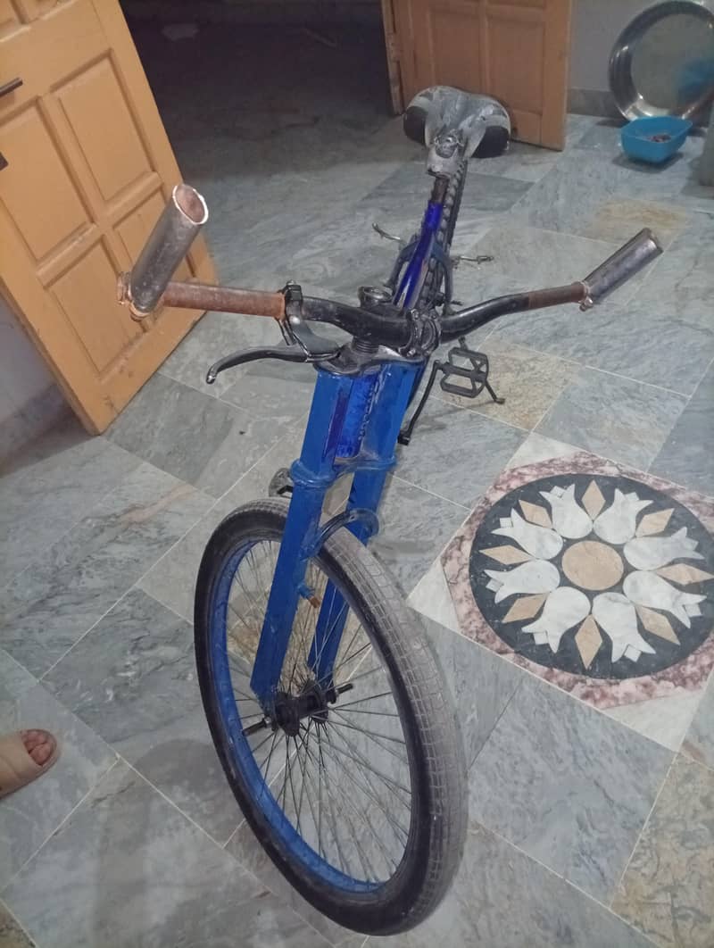 Morgan cycle 0