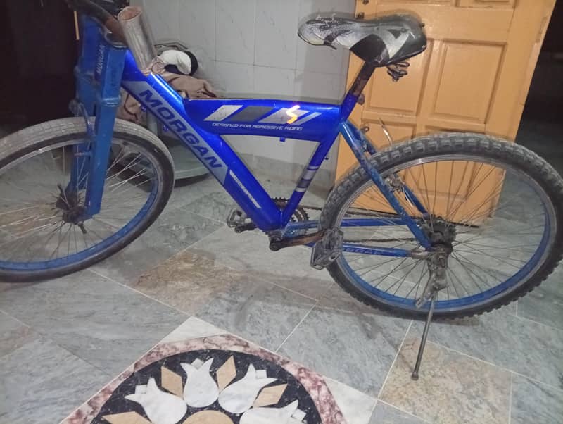 Morgan cycle 4