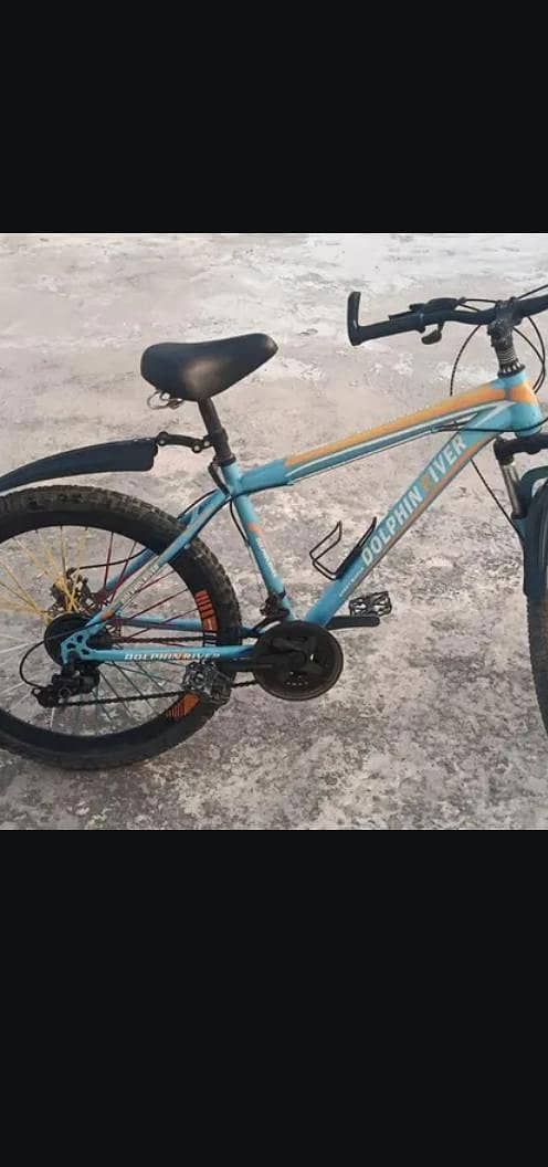 dolphin bicycle 1