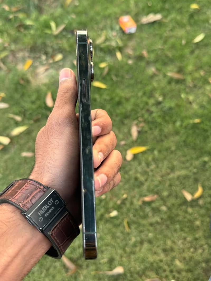Apple iPhone 13 Pro Max 1