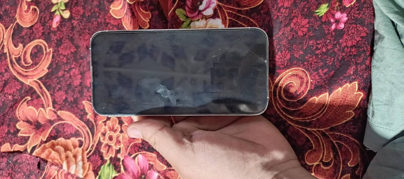 Apple iPhone 13 Pro Max 1