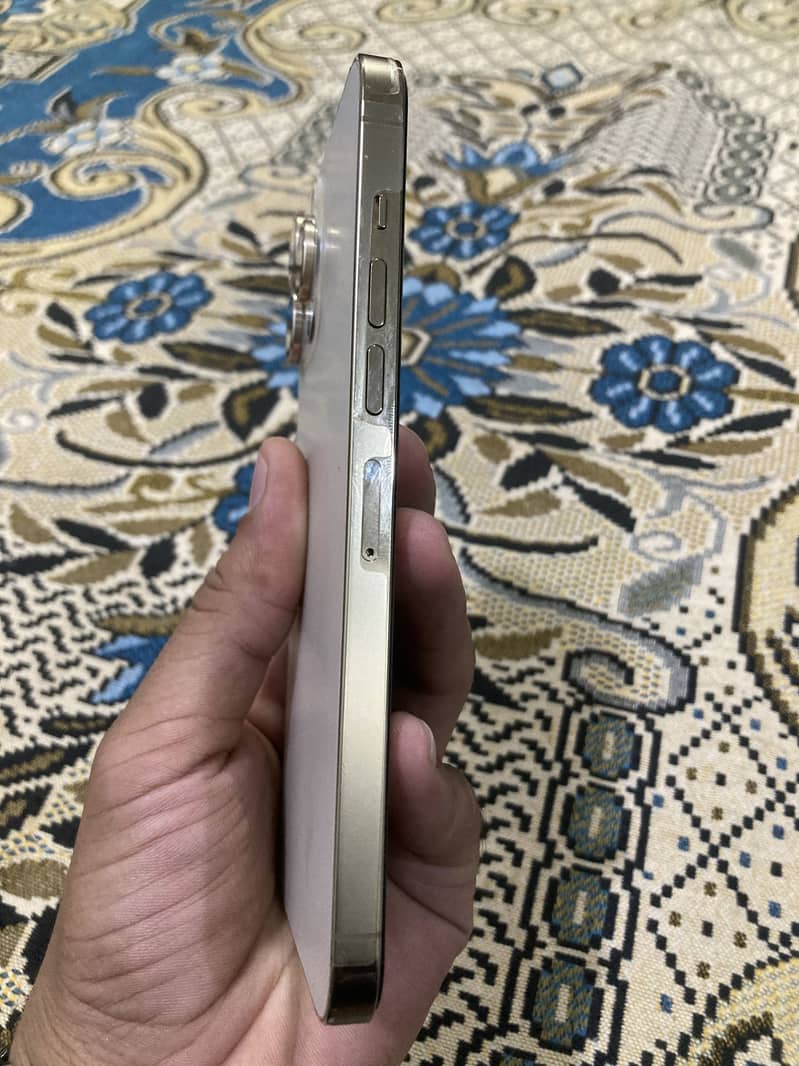 Apple iPhone 13 Pro Max 0