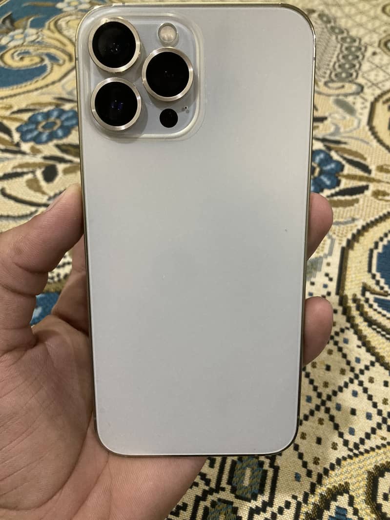 Apple iPhone 13 Pro Max 1