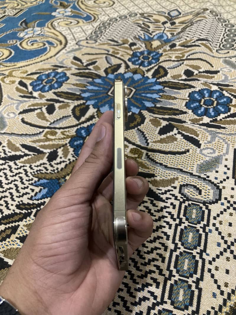 Apple iPhone 13 Pro Max 4