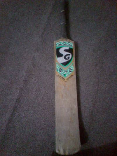 cricket bat