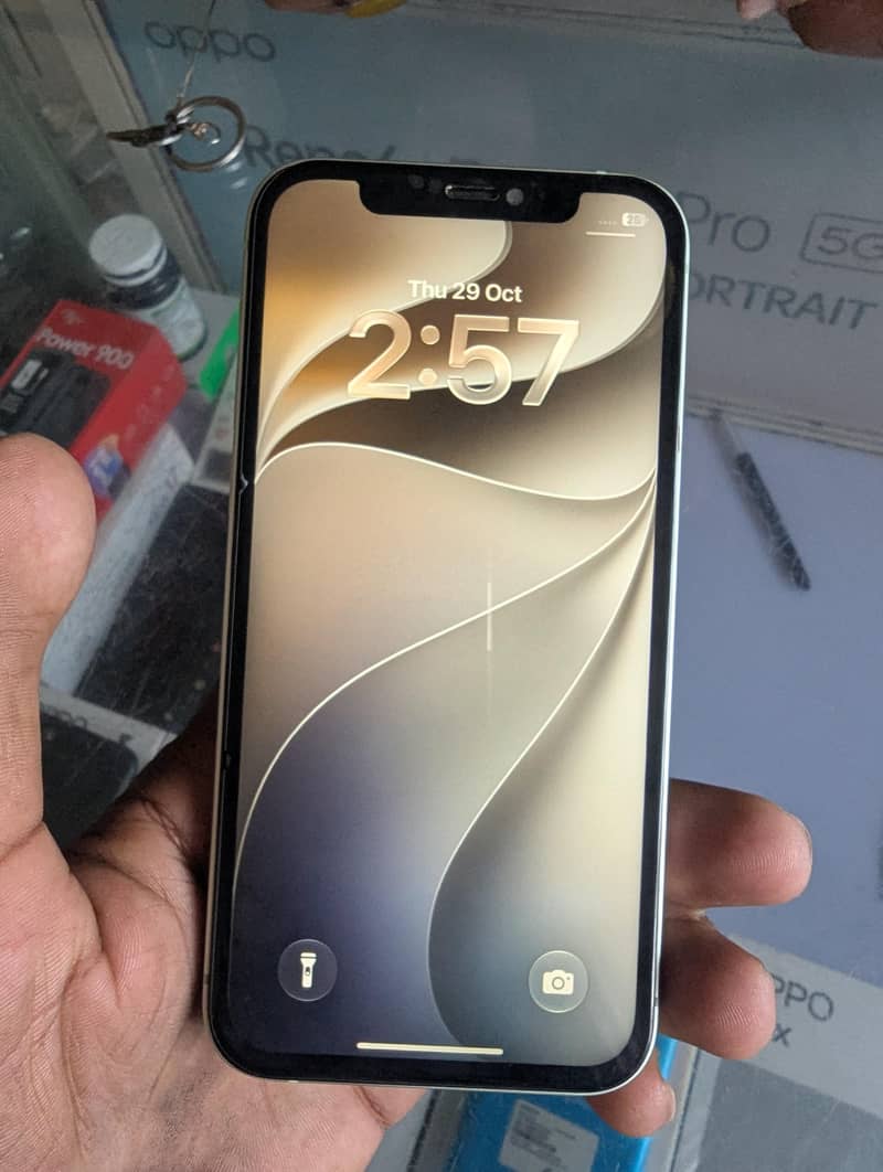Apple iPhone 12 1