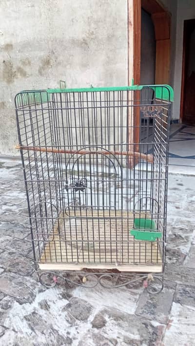 bird cage