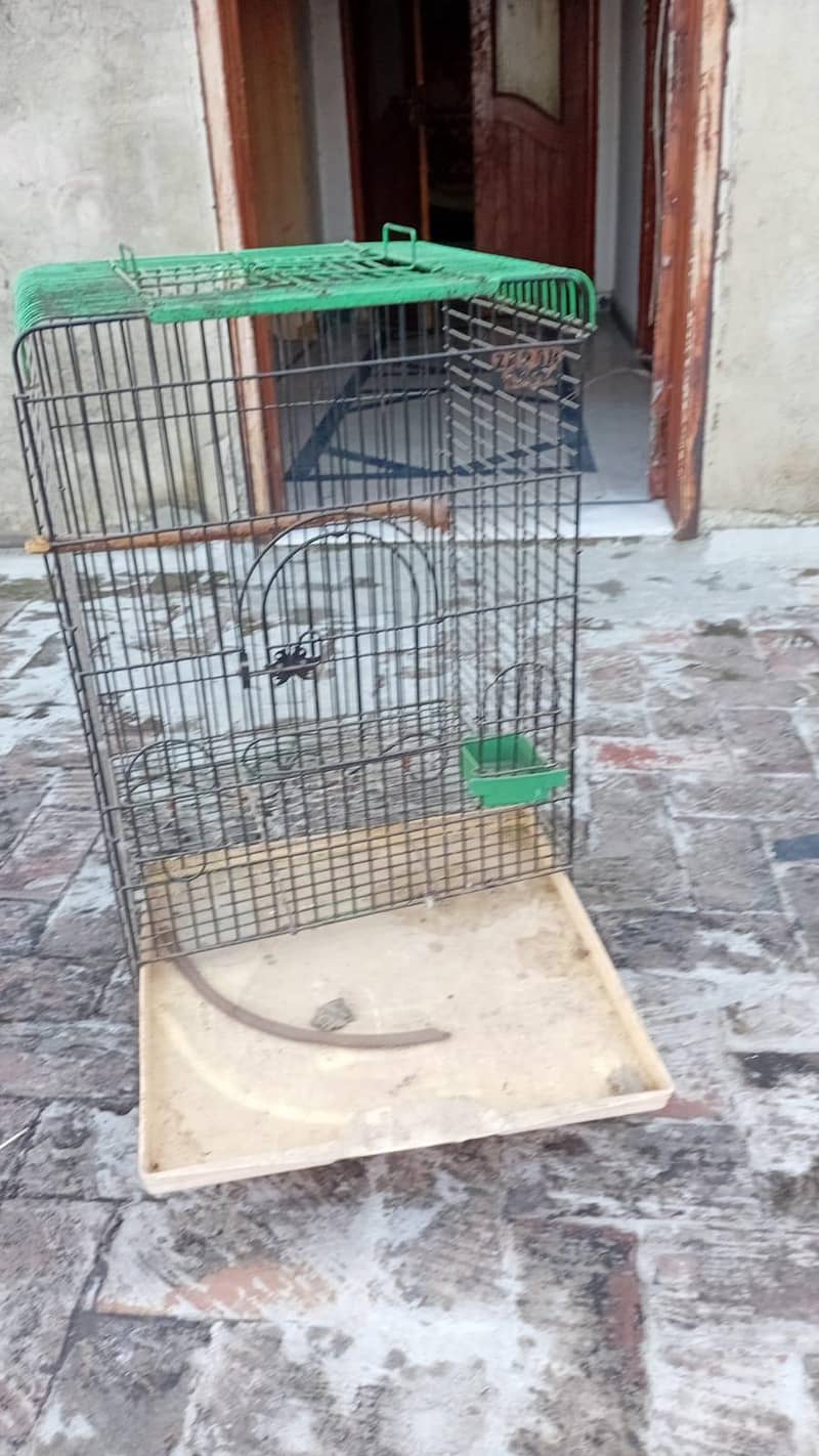 bird cage 2
