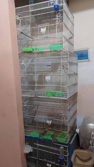 birds cage 4 portion Aliyan wala
