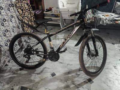 Bicycle for sale