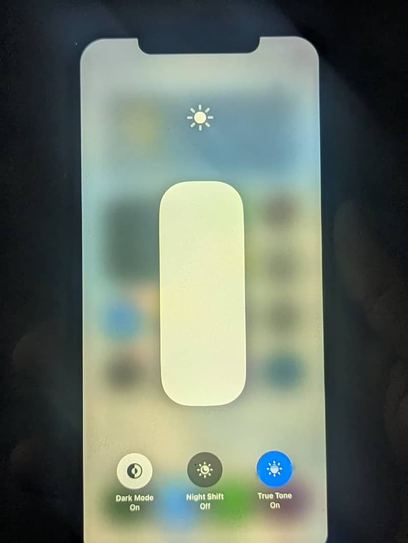 Apple iPhone XS Max 1