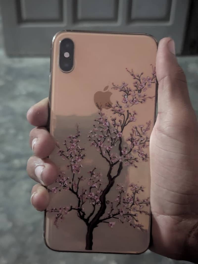 Apple iPhone XS Max 10