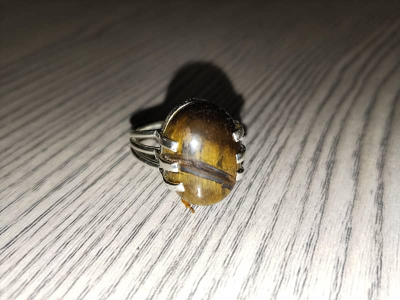 Irani Tiger Ring 1