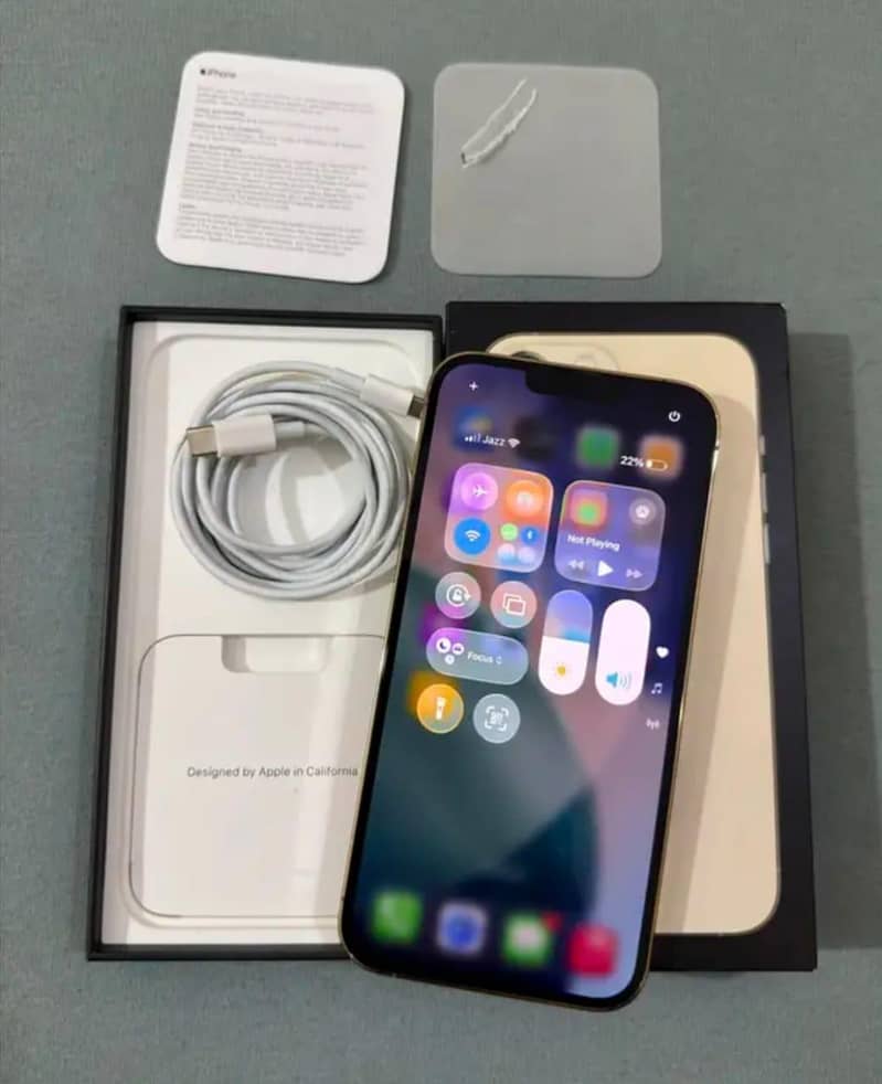 Apple iPhone 13 Pro Max 1