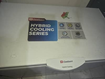 Single door | Brand new freezer | 03194292519