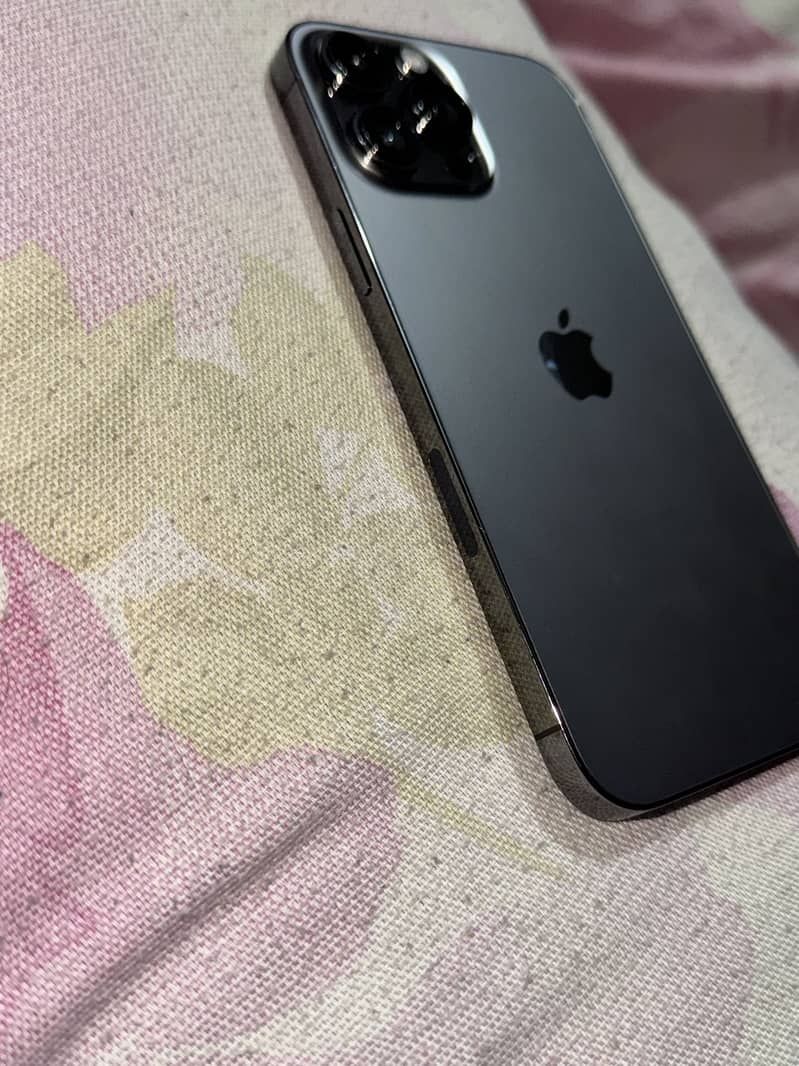 Apple iPhone 13 Pro Max 1