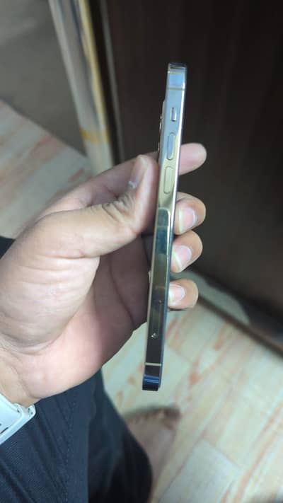 Apple iPhone 12 Pro