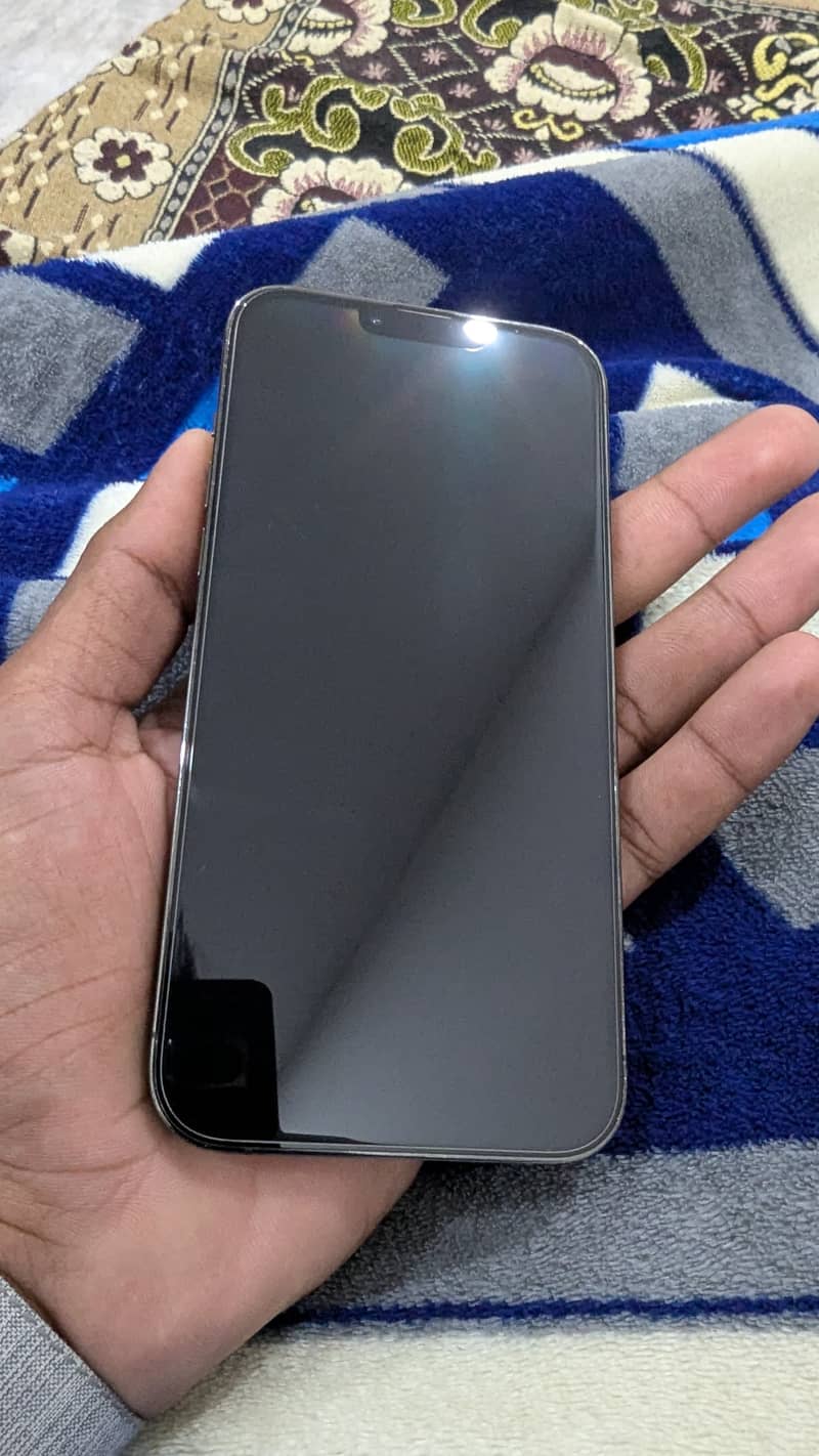 Apple iPhone 13 Pro Max 1