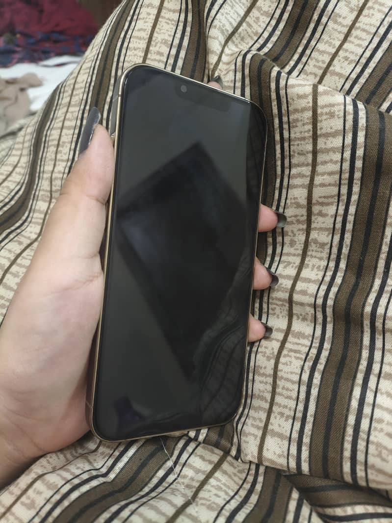 Apple iPhone 13 Pro 1