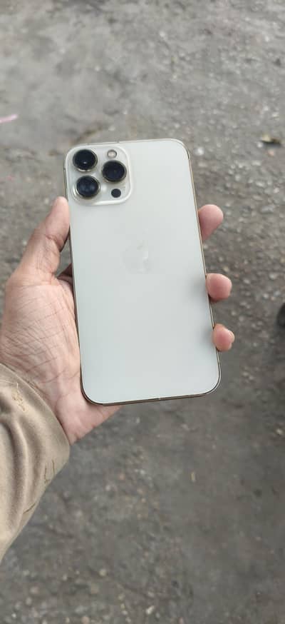 Apple iPhone 13 Pro Max