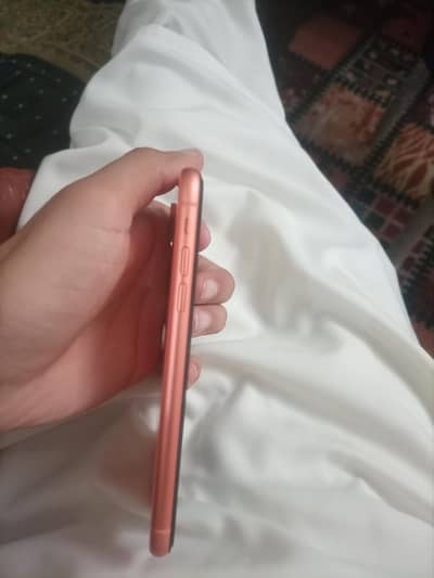 Apple iPhone XR