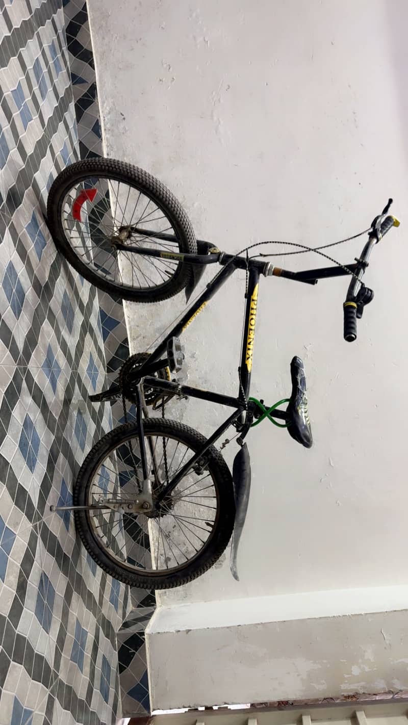 Black cycle 1