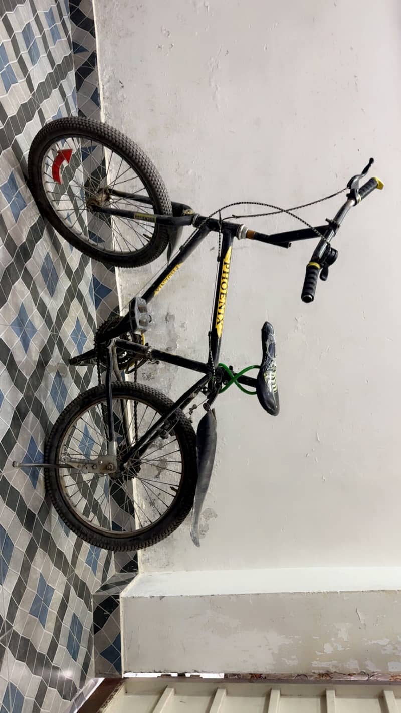 Black cycle 2