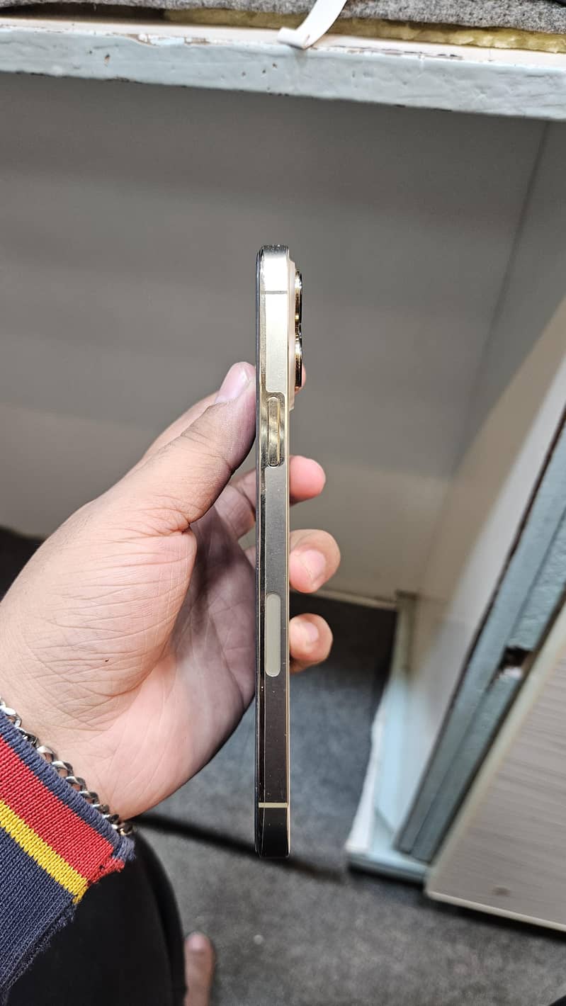 Apple iPhone 13 Pro Max 1
