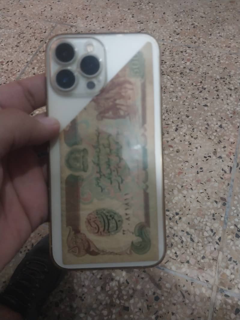 Apple iPhone 13 Pro Max 1