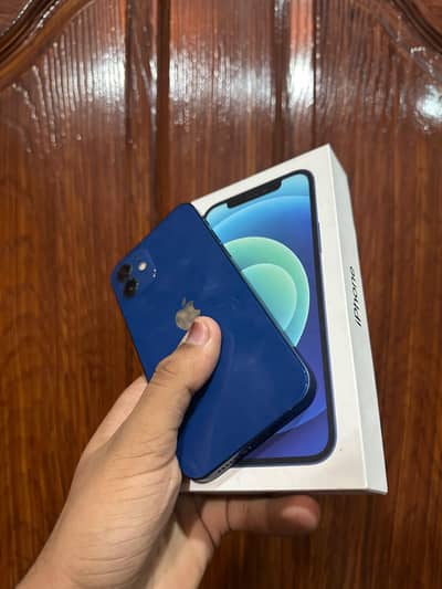 Apple iPhone 12