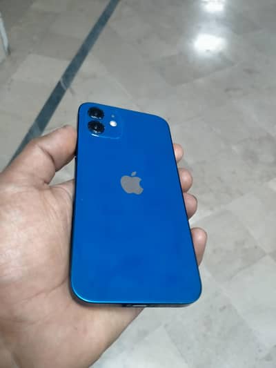 Apple iPhone 12