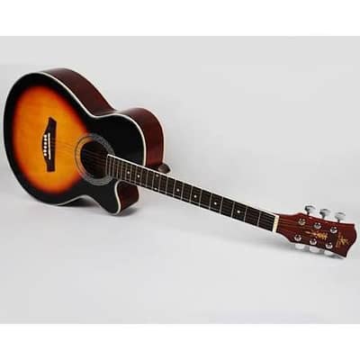 swift horse professional acoustic guitar